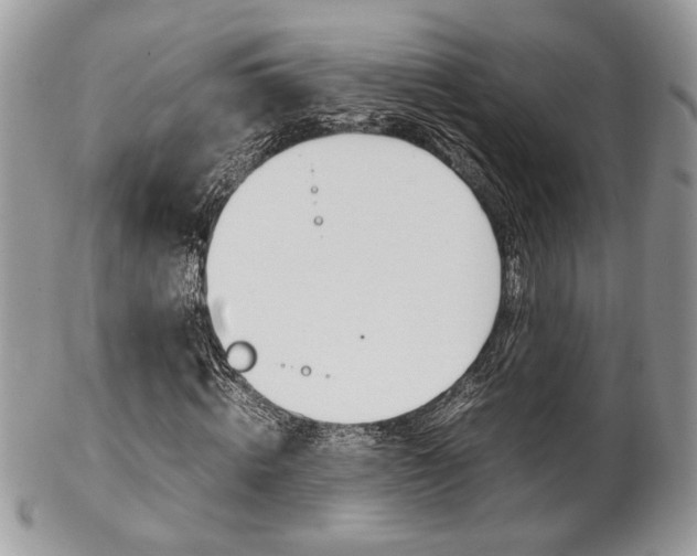 X0000102840820200808181023