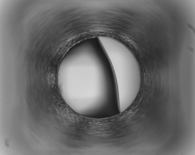 X0000102840821200808181023