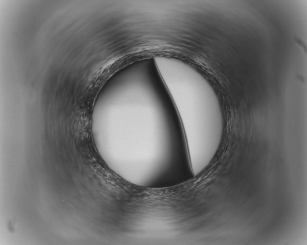 X0000102840822200808181023
