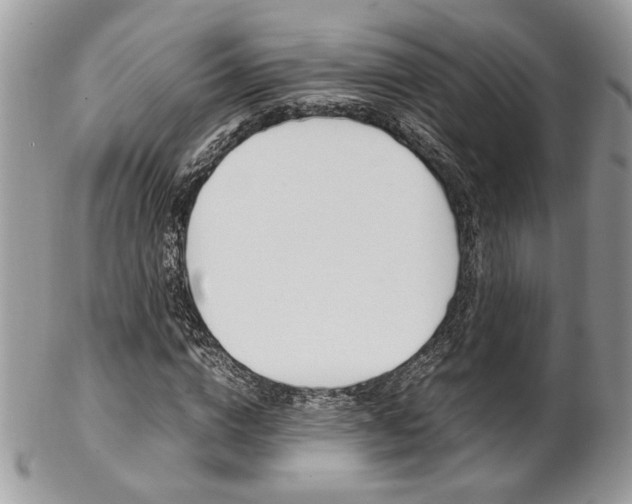 X0000102840824200808181023