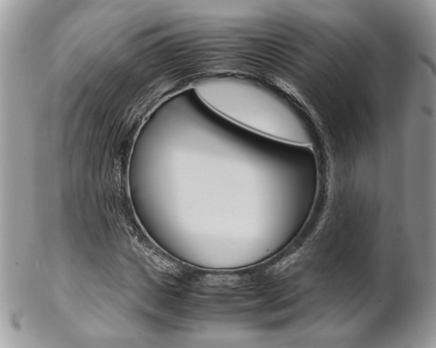 X0000102840825200808181023