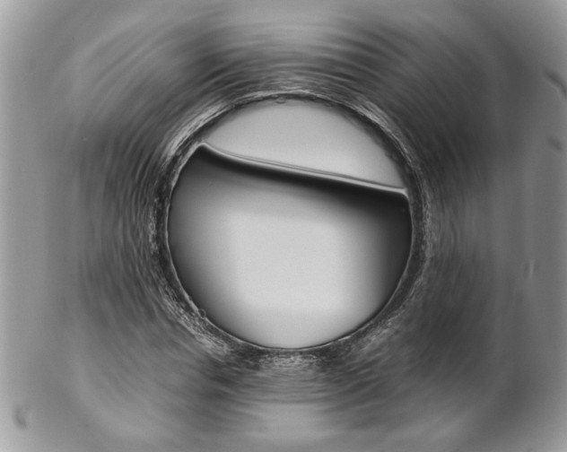 X0000102840826200808181023