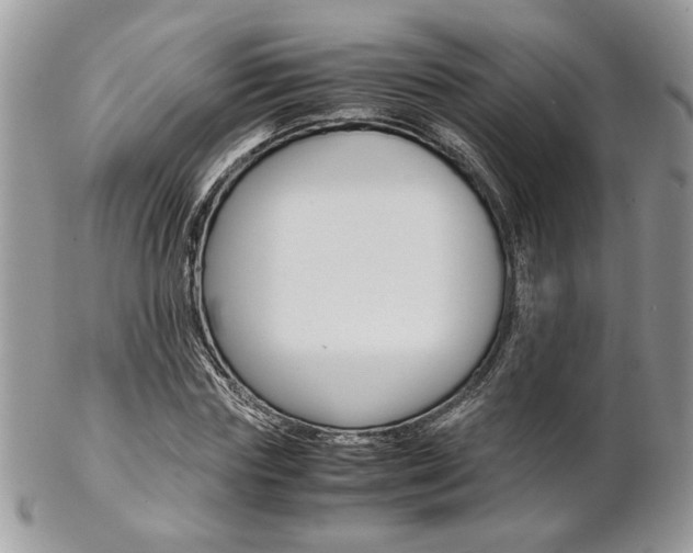 X0000102840827200808181023