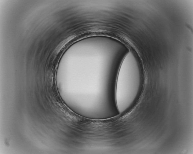 X0000102840829200808181023