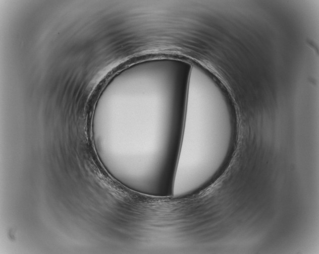X0000102840830200808181023