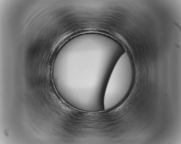 X0000102840831200808181023