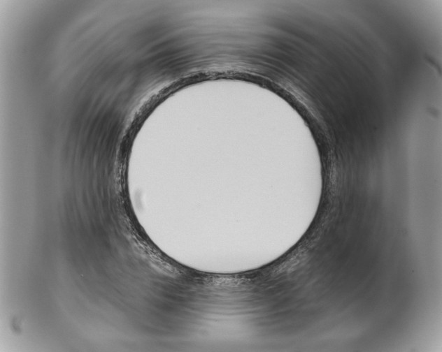 X0000102840832200808181023