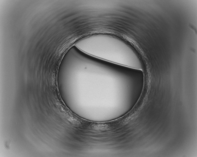 X0000102840833200808181023