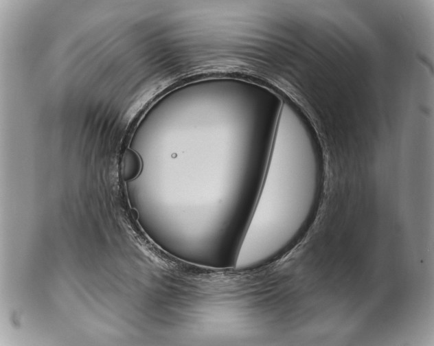 X0000102840834200808181023