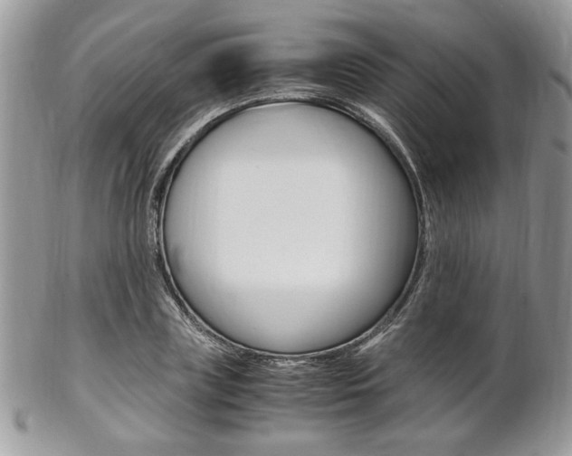 X0000102840835200808181023