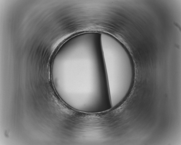 X0000102840838200808181023
