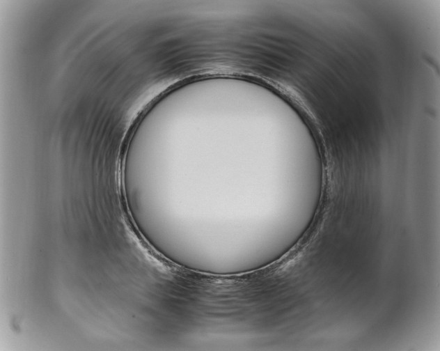 X0000102840839200808181023