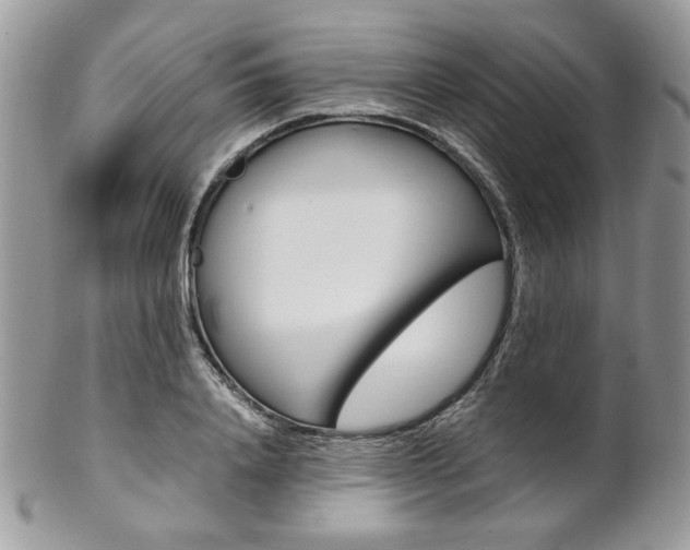 X0000102840840200808181023