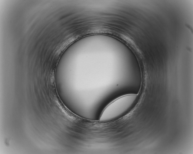 X0000102840841200808181023