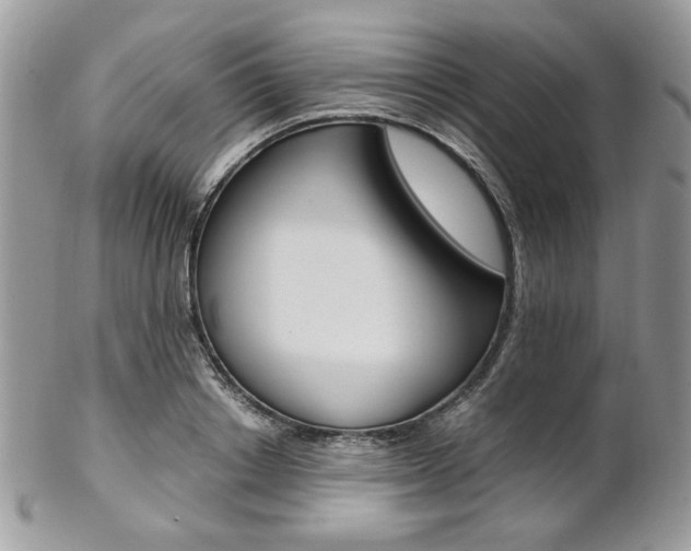 X0000102840842200808181023