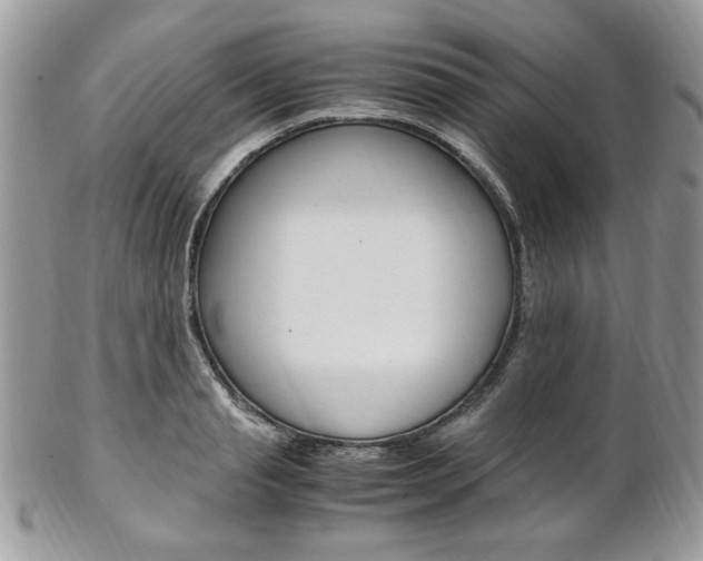 X0000102840845200808181023