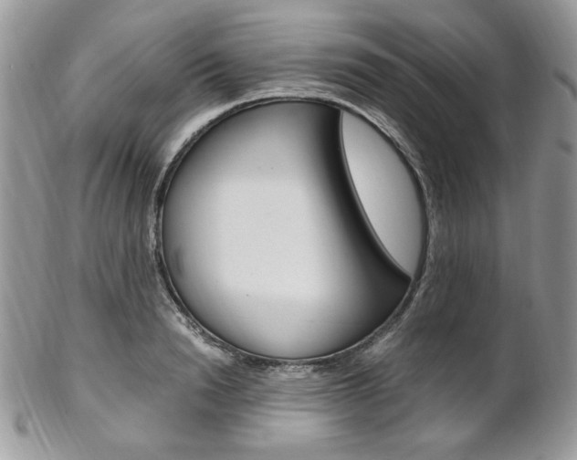 X0000102840846200808181023