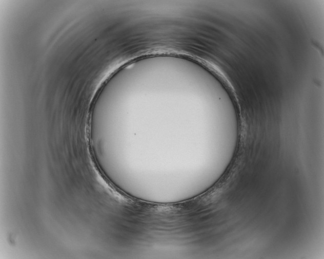 X0000102840847200808181023