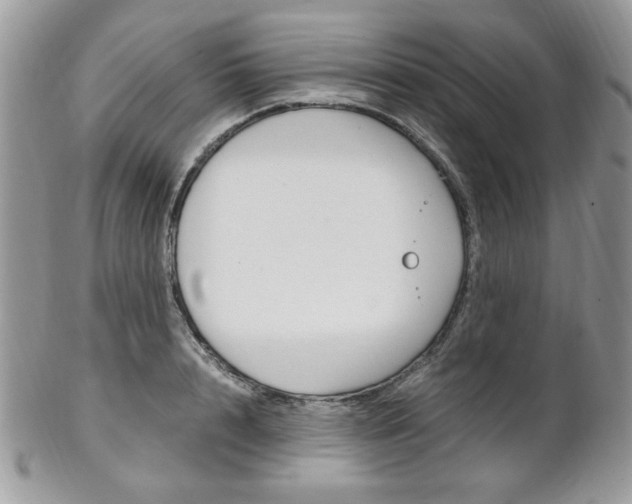 X0000102840848200808181023