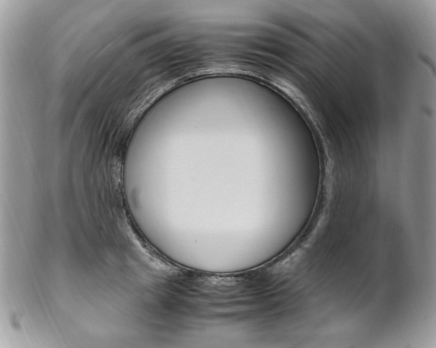 X0000102840849200808181023