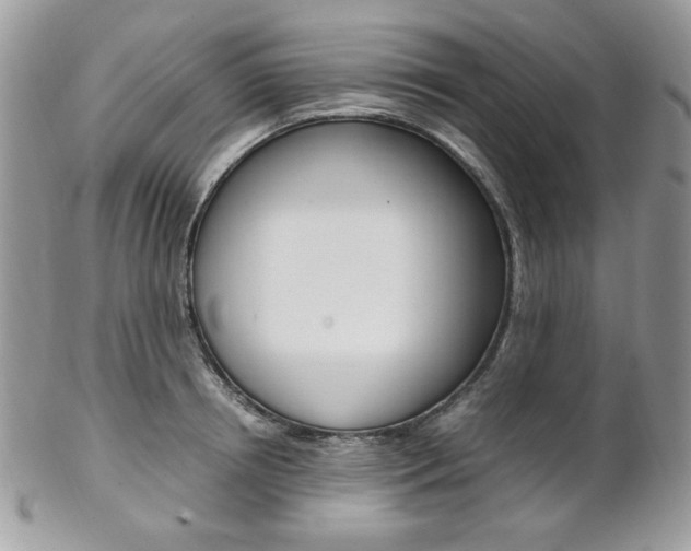 X0000102840850200808181023