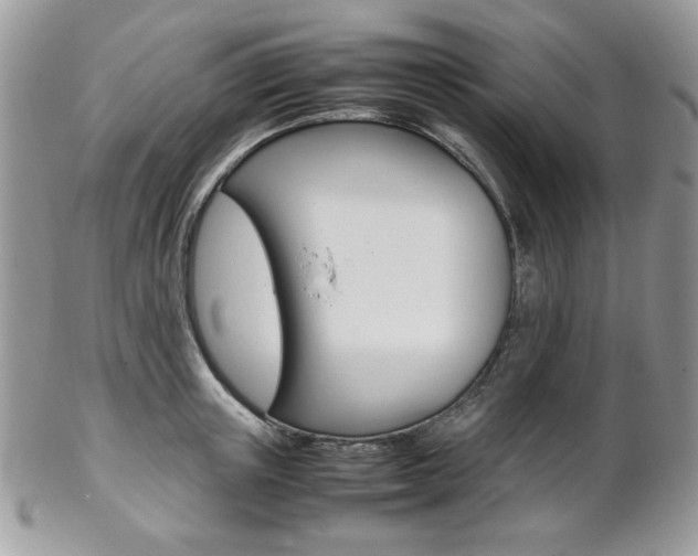 X0000102840851200808181023