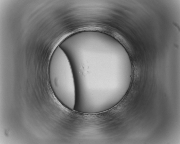 X0000102840852200808181023