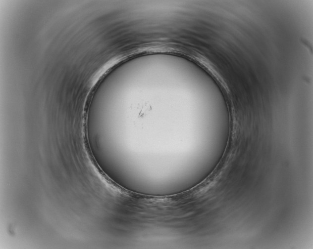 X0000102840853200808181023