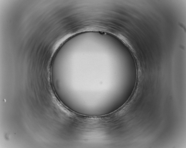 X0000102840854200808181023
