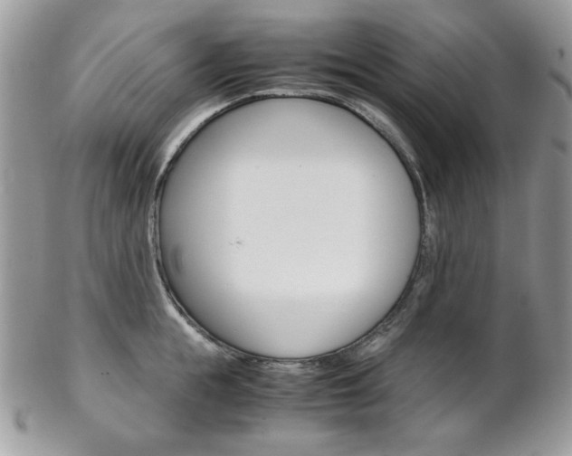 X0000102840855200808181023