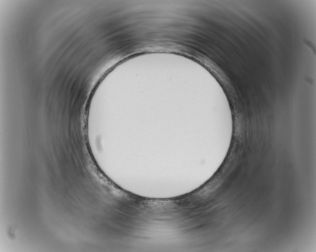 X0000102840856200808181023