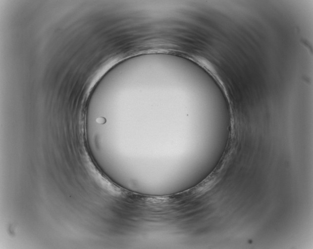 X0000102840859200808181023