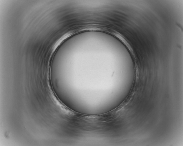 X0000102840861200808181023