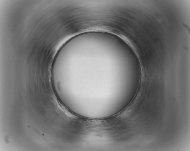 X0000102840862200808181023