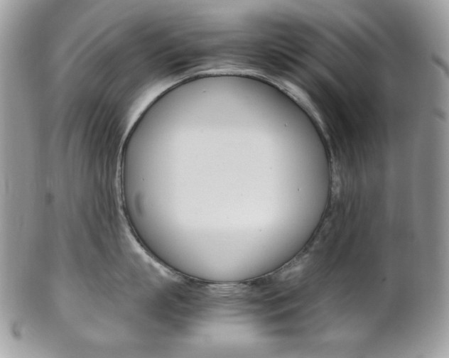 X0000102840863200808181023