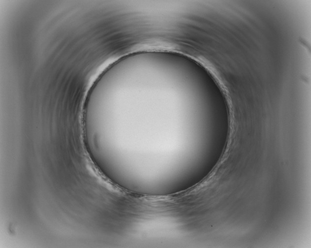 X0000102840864200808181023
