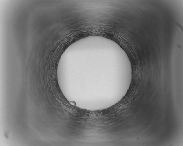 X0000102840865200808181023