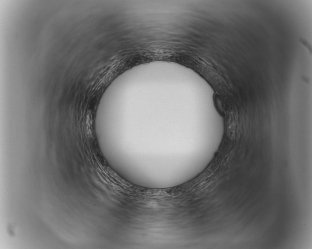 X0000102840866200808181023