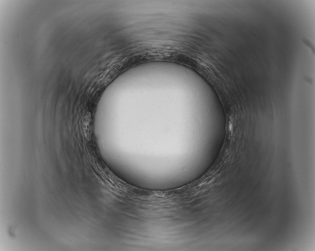 X0000102840867200808181023