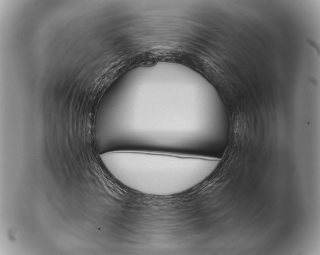X0000102840868200808181023