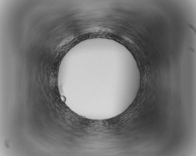 X0000102840869200808181023