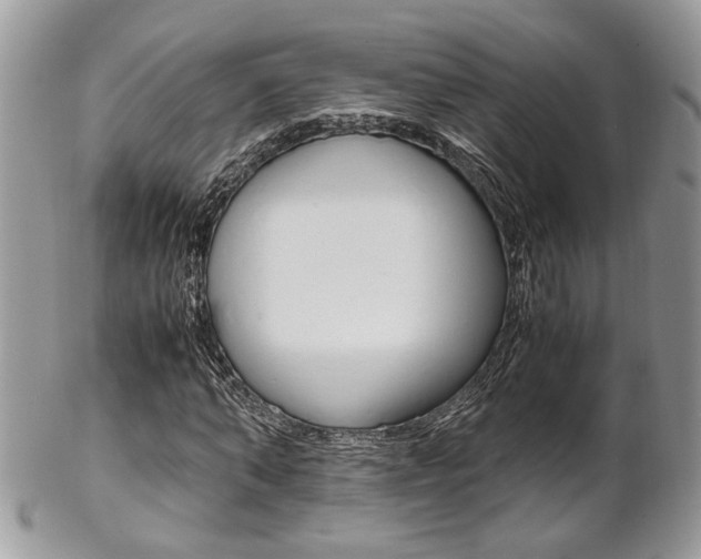 X0000102840870200808181023