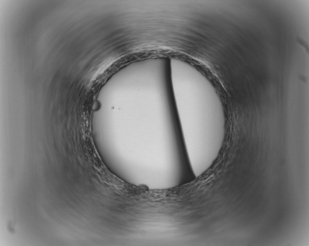 X0000102840871200808181023