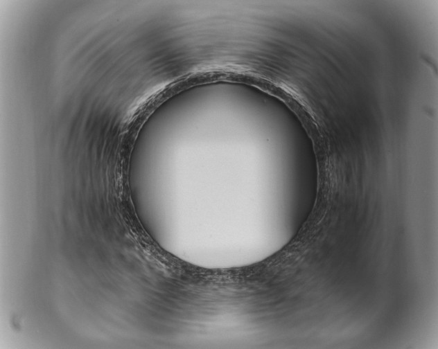 X0000102840872200808181023