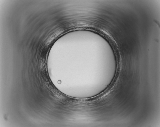 X0000102840873200808181022