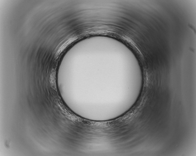 X0000102840874200808181022