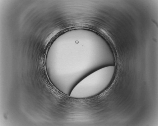 X0000102840875200808181022