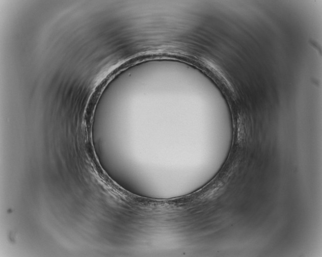 X0000102840876200808181022