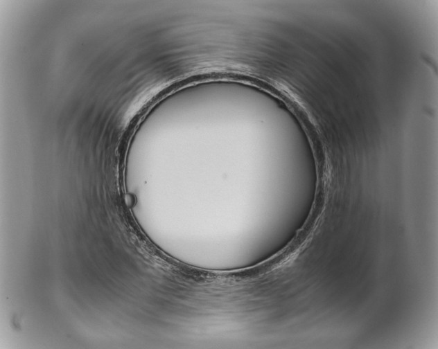 X0000102840877200808181022
