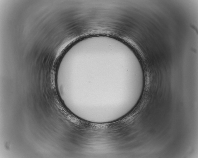 X0000102840878200808181022